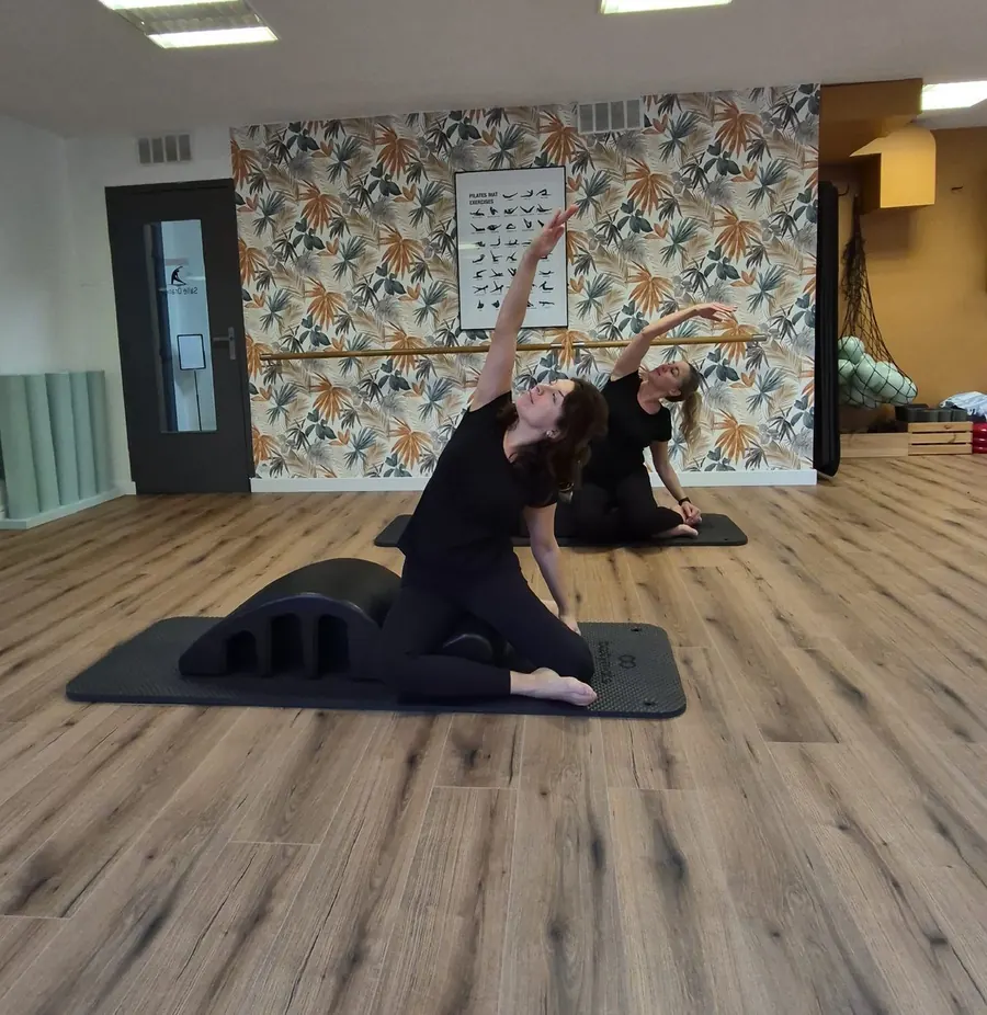 Pilates Spine Corrector